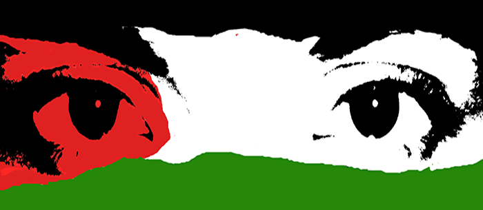 Anonymous Operation Palestine #OpPalestine